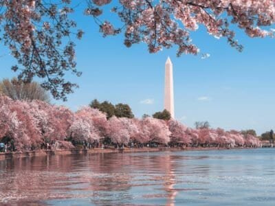 Washington Monument
